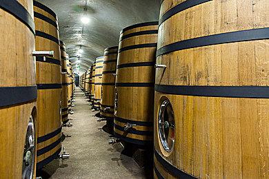 《碧蓝幻想Versus：Rising》1.1版本更新 DLC角色“Lucilius”上线